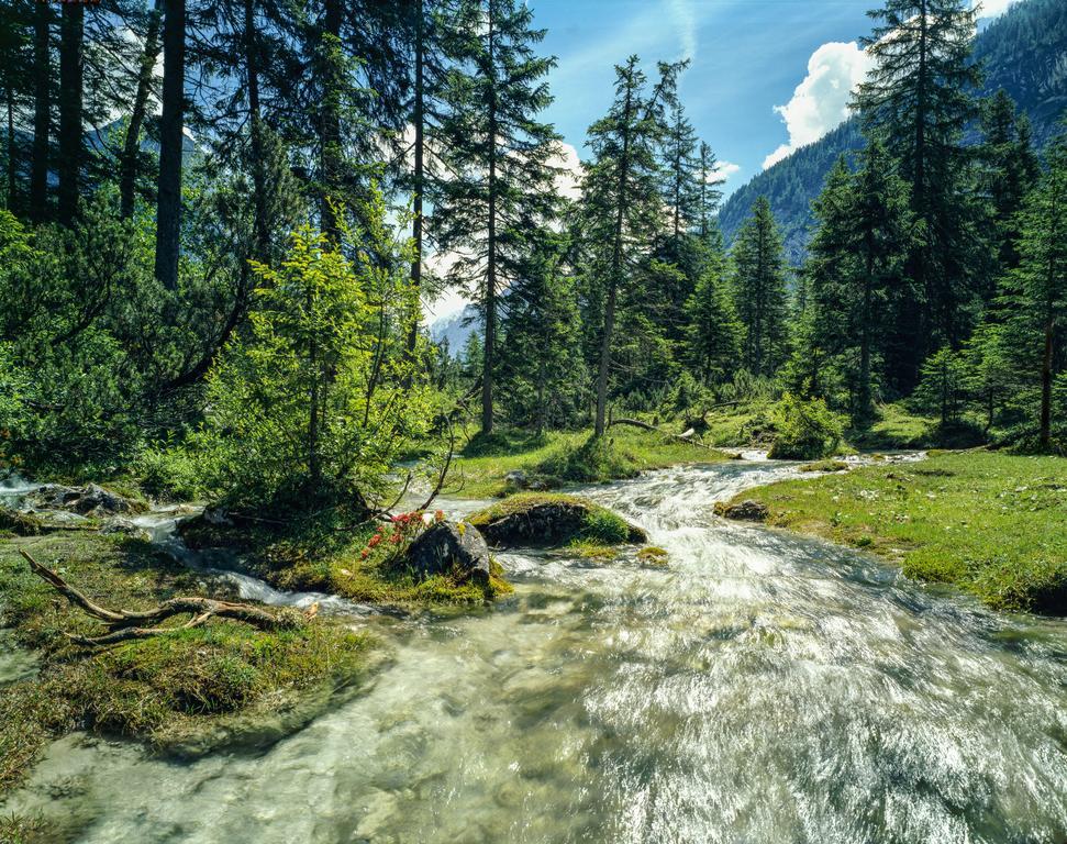 Hotel Laerchenhof Natur Seefeld w Tirolu Zewnętrze zdjęcie