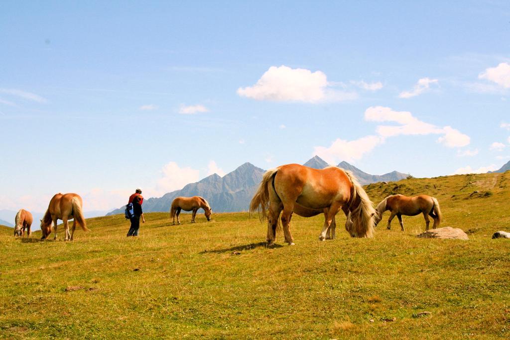 Hotel Laerchenhof Natur Seefeld w Tirolu Zewnętrze zdjęcie