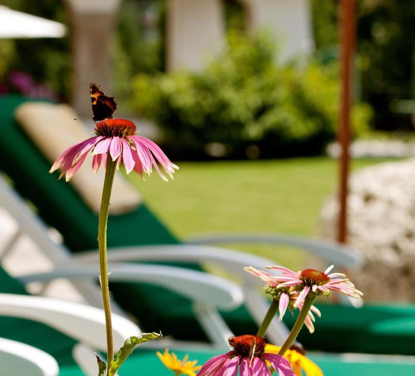 Hotel Laerchenhof Natur Seefeld w Tirolu Pokój zdjęcie